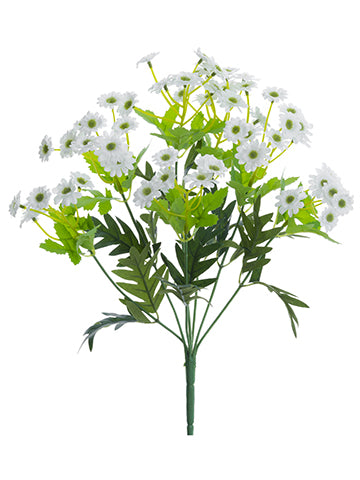 13" Mini Daisy Bush x7  White (pack of 24)