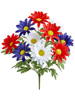 19" Shasta Daisy Bush x10  Red Blue (pack of 12)