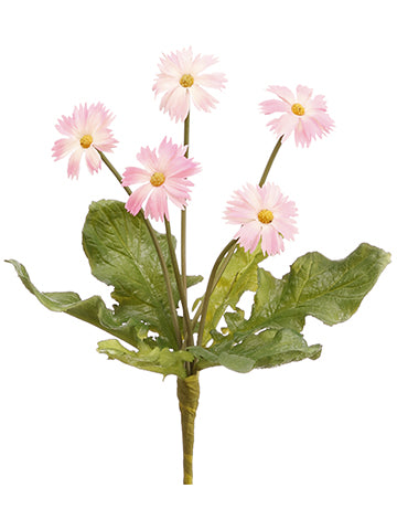 8" Mini Daisy Bush  Pink (pack of 48)