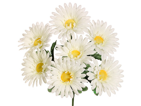 14" Gerbera Daisy Bush x7  White (pack of 24)