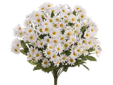 17" Daisy Bush x24  White (pack of 12)