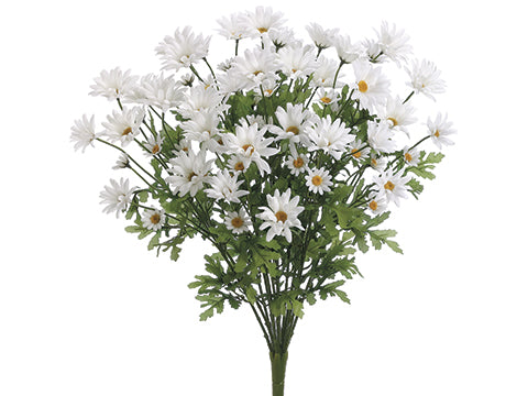 25" Margarite Daisy Bush x13  White (pack of 6)