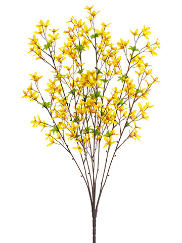 32" Forsythia Bush x8  Yellow (pack of 12)