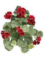 24" Geranium Hanging Bush  Red (pack of 6)