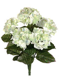 Cream Green
