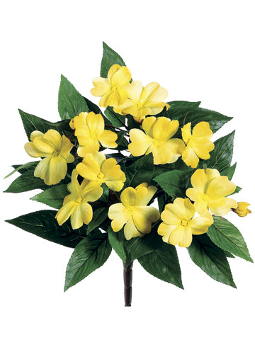 11" Impatiens Bush x5  Gold (pack of 24)