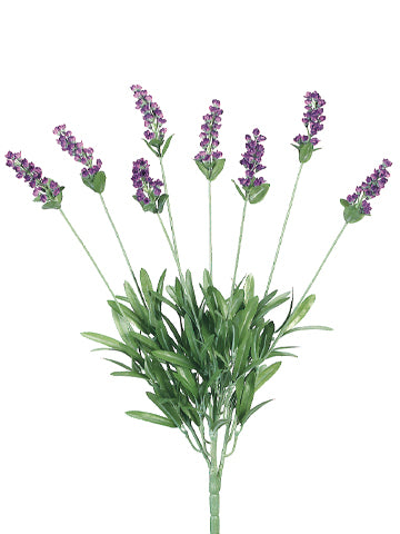 19" Lavender Bush x8  Lavender Blue (pack of 12)