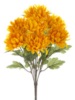 20" Mum Bush x7  Gold Yellow (pack of 12)