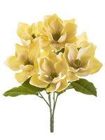 19" Magnolia Bush x6  Beige (pack of 12)