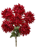 25" Ball Mum Bush x6  Burgundy (pack of 12)