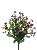 Two Tone Orchid