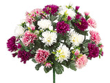 Orchid Rose