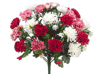 Red Rose