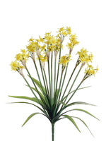 Yellow Yellow