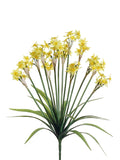 Yellow Yellow