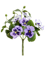 Lavender Purple