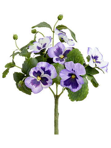 Lavender Purple