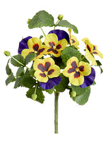 Purple Yellow