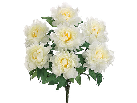 Cream