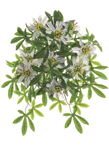 20.5" Protected Passion Flower Bush Cream (pack of 6)