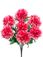 Cerise