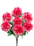Cerise