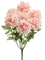 Pink Coral