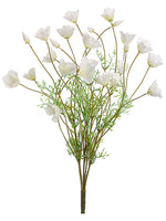 Cream White