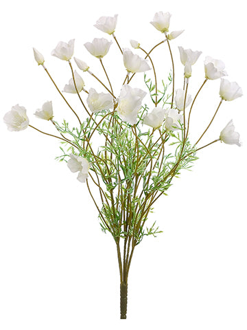Cream White