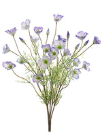 Purple Cream