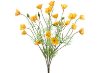 Two Tone Yellow