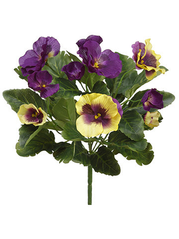 11" Pansy Bush  Yellow Purple (pack of 12)