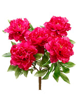 18" Peony Bush x5  Fuchsia (pack of 6)