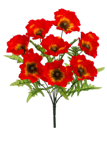 19" Poppy Bush  Flame (pack of 12)