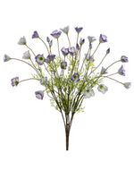 23" California Poppy Bush x7  Purple Cream (pack of 6)