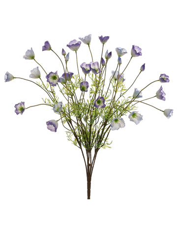 23" California Poppy Bush x7  Purple Cream (pack of 6)