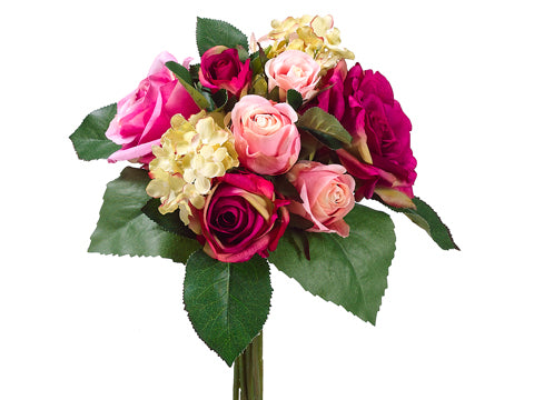 Beauty Pink