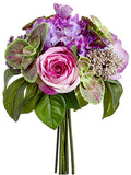 Purple Lavender