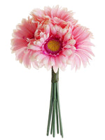 Pink Soft