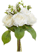 Cream White
