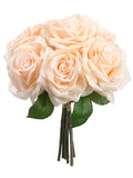 Peach Cream