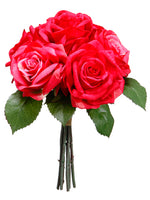 Red Fuchsia