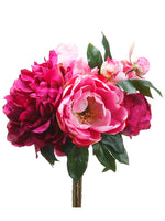 Fuchsia Pink