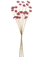 Boysenberry Violet
