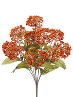 18" Ball Queen Anne's Lace Bush x10 Orange Flame (pack of 12)