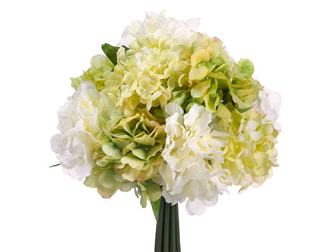 Cream Green