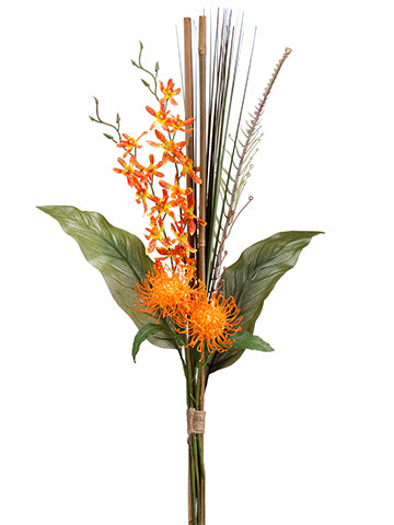 31" Dendrobium Orchid/Protea Bundle Orange Flame (pack of 6)