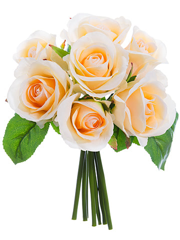 Apricot