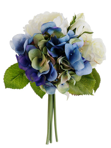 Delphinium Cream