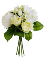 Cream Green